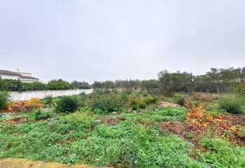 Terreno edificable en Mas Busca Rosas